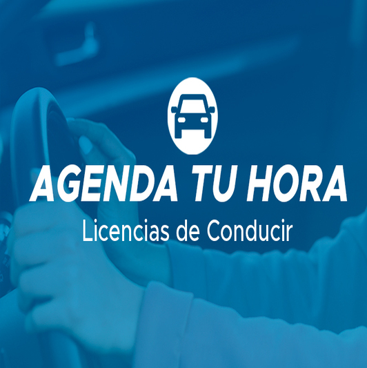 Reserva de hora — Licencia de Conducir
