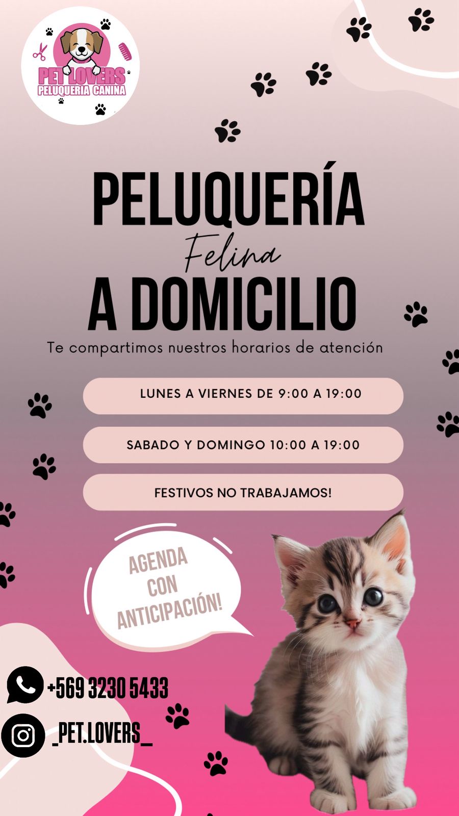 Flyer Pet Lovers — Peluquería felina a domicilio